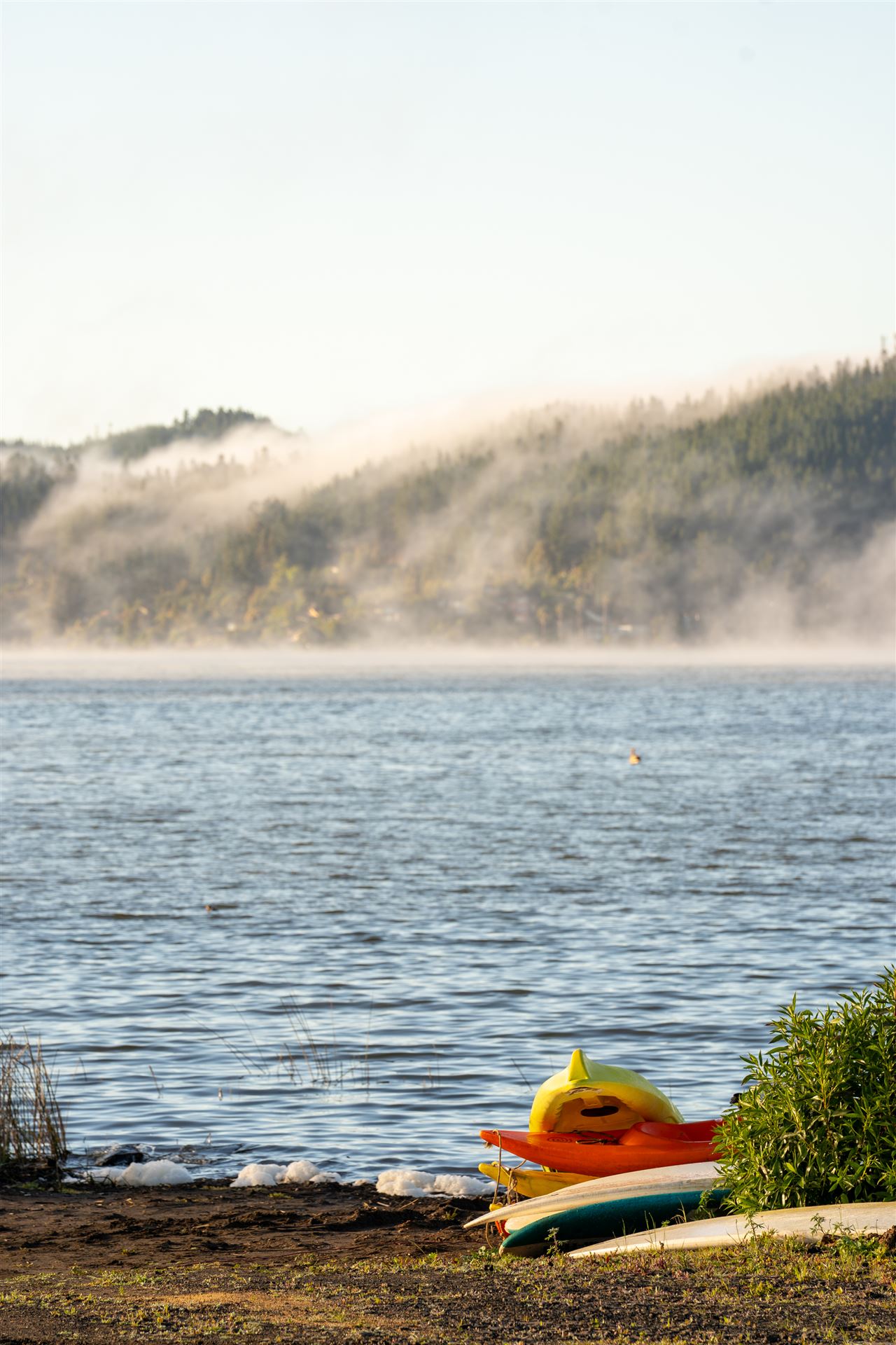 Kayaks en la orilla al amanecer